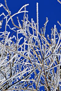 Preview wallpaper branches, frost, winter, freeze, cold