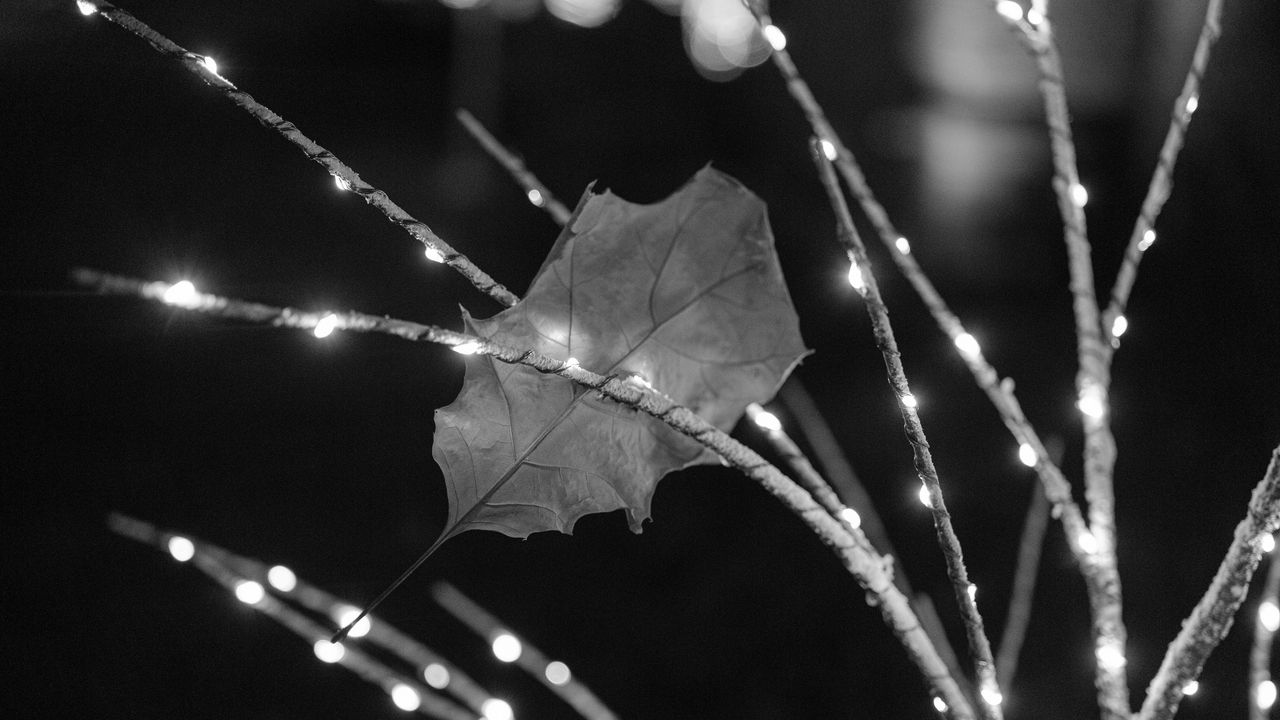 Wallpaper branches, garland, leaf, black and white
