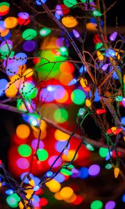 Preview wallpaper branches, garlands, colorful, lights, festive