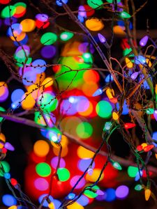 Preview wallpaper branches, garlands, colorful, lights, festive