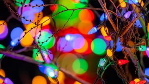 Preview wallpaper branches, garlands, colorful, lights, festive