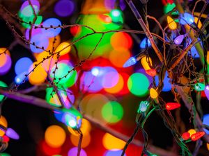 Preview wallpaper branches, garlands, colorful, lights, festive