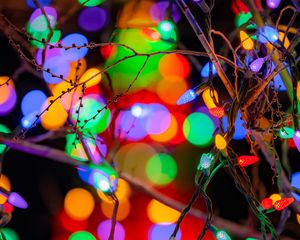 Preview wallpaper branches, garlands, colorful, lights, festive