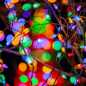 Preview wallpaper branches, garlands, colorful, lights, festive