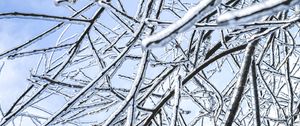 Preview wallpaper branches, ice, winter, frost