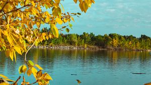 Preview wallpaper branches, lake, autumn, trees