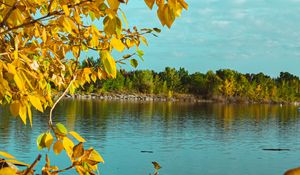 Preview wallpaper branches, lake, autumn, trees