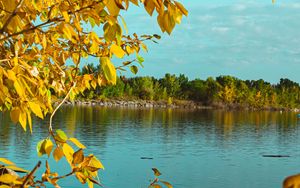 Preview wallpaper branches, lake, autumn, trees