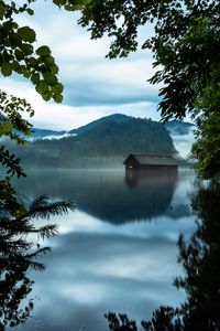 Preview wallpaper branches, lake, house, mountains, reflection