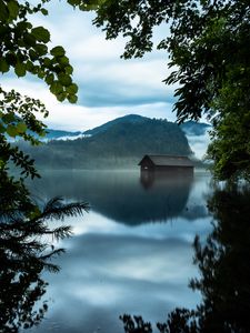 Preview wallpaper branches, lake, house, mountains, reflection