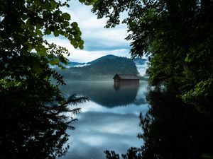 Preview wallpaper branches, lake, house, mountains, reflection