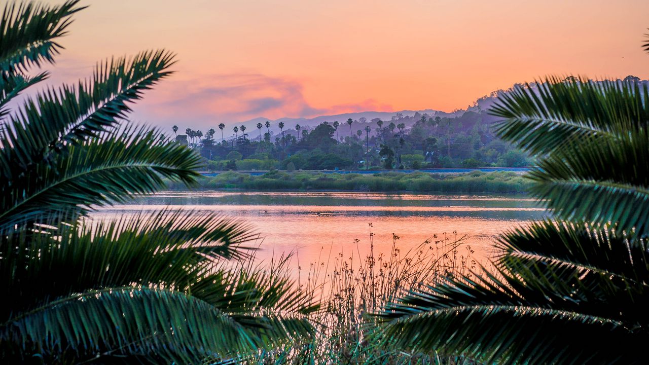 Wallpaper branches, lake, sunset, grass, santa barbara, usa