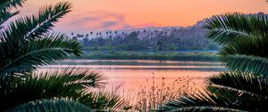 Preview wallpaper branches, lake, sunset, grass, santa barbara, usa