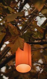 Preview wallpaper branches, lantern, light, lighting, tree