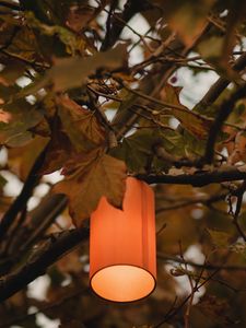 Preview wallpaper branches, lantern, light, lighting, tree
