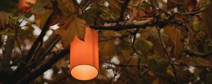 Preview wallpaper branches, lantern, light, lighting, tree