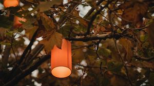 Preview wallpaper branches, lantern, light, lighting, tree