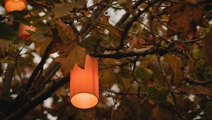 Preview wallpaper branches, lantern, light, lighting, tree