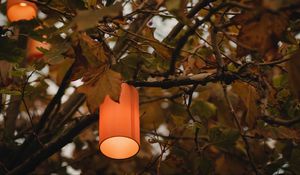 Preview wallpaper branches, lantern, light, lighting, tree