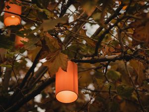 Preview wallpaper branches, lantern, light, lighting, tree