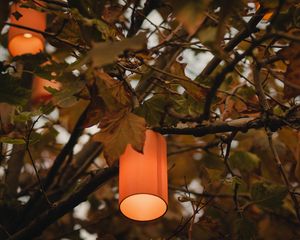 Preview wallpaper branches, lantern, light, lighting, tree