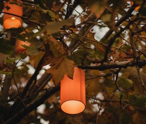 Preview wallpaper branches, lantern, light, lighting, tree