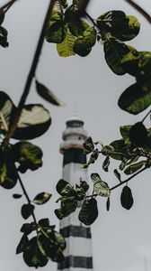 Preview wallpaper branches, lighthouse, building, leaves