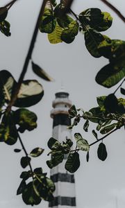 Preview wallpaper branches, lighthouse, building, leaves