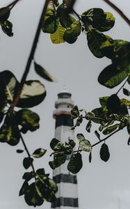 Preview wallpaper branches, lighthouse, building, leaves