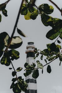 Preview wallpaper branches, lighthouse, building, leaves