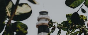 Preview wallpaper branches, lighthouse, building, leaves