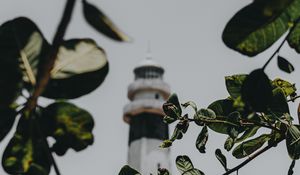Preview wallpaper branches, lighthouse, building, leaves
