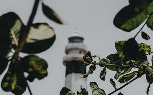 Preview wallpaper branches, lighthouse, building, leaves