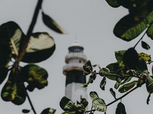Preview wallpaper branches, lighthouse, building, leaves