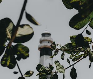 Preview wallpaper branches, lighthouse, building, leaves
