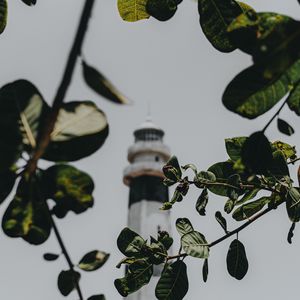 Preview wallpaper branches, lighthouse, building, leaves