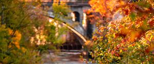 Preview wallpaper branches, river, stones, autumn