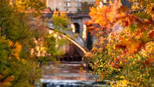 Preview wallpaper branches, river, stones, autumn