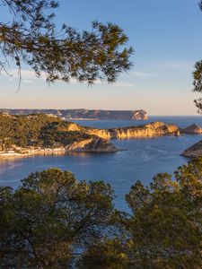 Preview wallpaper branches, sea, islands, nature, view