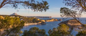 Preview wallpaper branches, sea, islands, nature, view