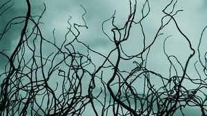 Preview wallpaper branches, sky, clouds, outlines