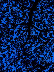 Preview wallpaper branches, sky, dark, tree, leaves, blue, pattern