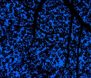 Preview wallpaper branches, sky, dark, tree, leaves, blue, pattern