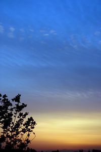 Preview wallpaper branches, sky, evening, silhouettes, dark