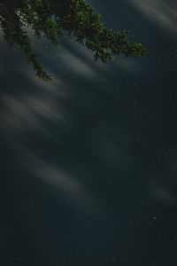 Preview wallpaper branches, starry sky, stars, night