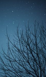 Preview wallpaper branches, starry sky, stars, night, dark