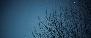 Preview wallpaper branches, starry sky, stars, night, dark