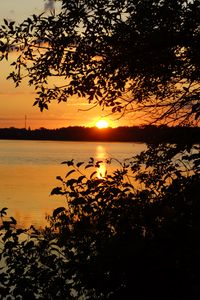 Preview wallpaper branches, sun, sunset, lake, sky