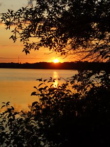 Preview wallpaper branches, sun, sunset, lake, sky