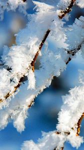 Preview wallpaper branches, tree, hoarfrost, winter, macro